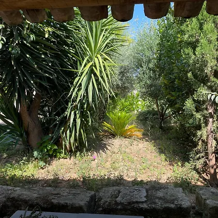 La Provence Centre Ville; Piscine,jardin,terrasse * ニーム