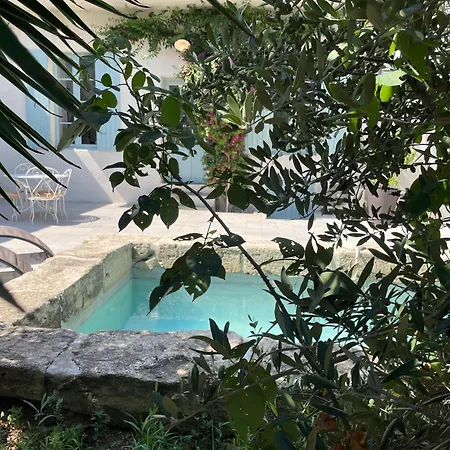 La Provence Centre Ville; Piscine,jardin,terrasse 別荘 ニーム
